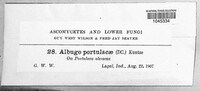 Image Associated With the Occurence